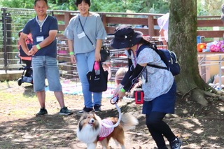 1441131F-59EA-422C-8F50-E547D0D1406A.jpeg