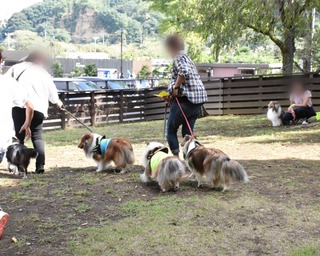 19B9A208-5CF9-4695-8E09-26FFD43EE02D.jpeg