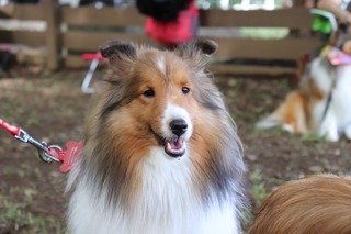 6E1F2898-6187-4CF4-A7F1-EF24951FF84E.jpeg