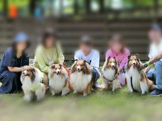 74B89B4C-0509-408D-9B0E-A50F9F418484.jpeg