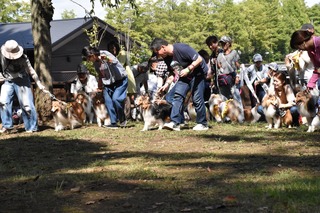 9C2013D4-23E1-4BC0-993F-EADD682119CA.jpeg