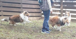A267E448-253F-43DB-8FBF-5A9613D61F3F.jpeg