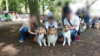 A7425A12-4B91-45D8-96FF-7E3354BA4DF0.jpeg