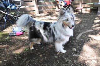 B056CCCC-9012-45F9-A673-F87060C8AFE3.jpeg