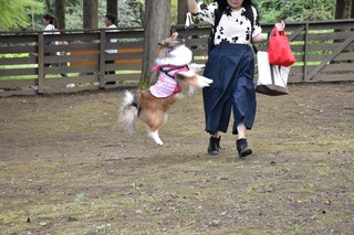 D1ACC6D0-9439-42AE-960F-7FD194A62D2E.jpeg