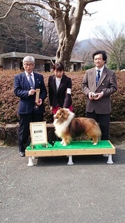 DSC_1160 - コピー.JPG