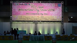 DSC_1197.JPG