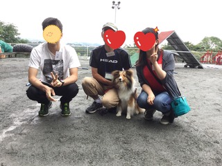 image.jpeg