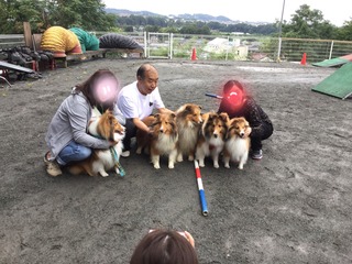 image.jpeg