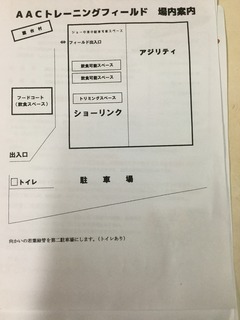 image.jpeg