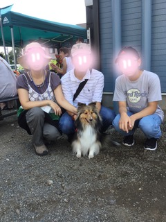 image.jpeg