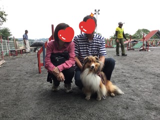 image.jpeg