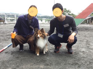 image.jpeg