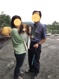 image.jpeg