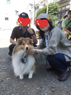 image.jpeg