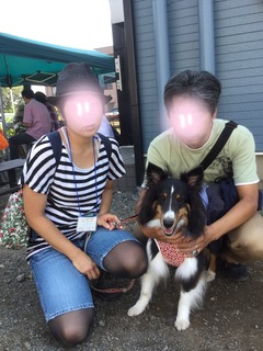 image.jpeg
