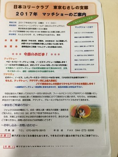 image.jpeg