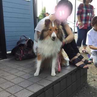 image.jpeg