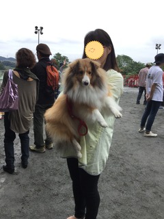 image.jpeg