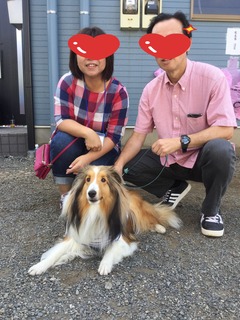 image.jpeg