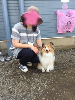image.jpeg