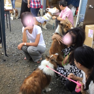image.jpeg